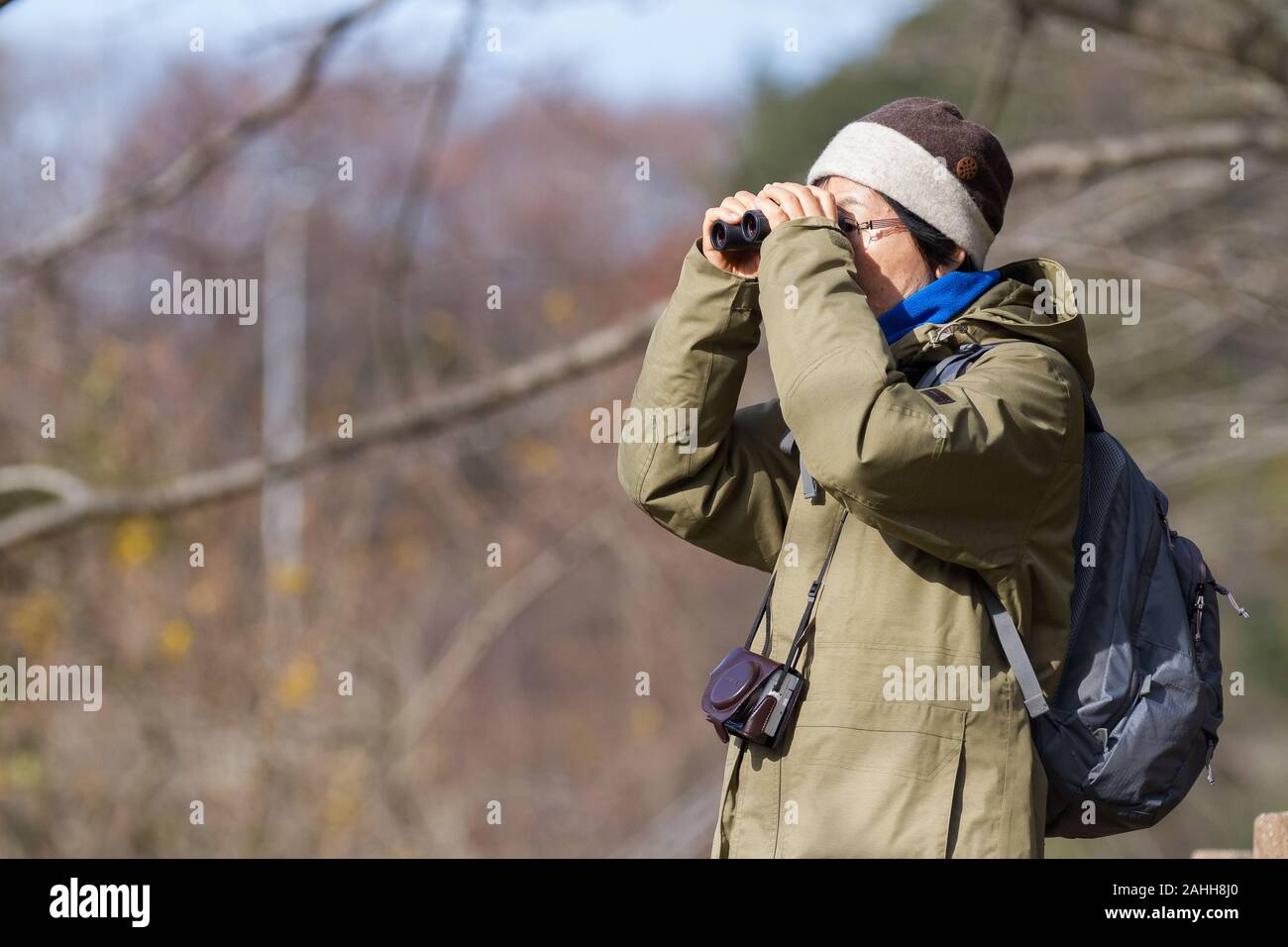 Una donna giapponese più anziana birdwatching nel parco forestale Izumi no Mori a Tsuruma, Kanagawa, Giappone. Foto Stock
