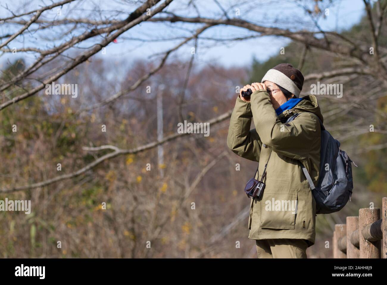 Una donna giapponese più anziana birdwatching nel parco forestale Izumi no Mori a Tsuruma, Kanagawa, Giappone. Foto Stock