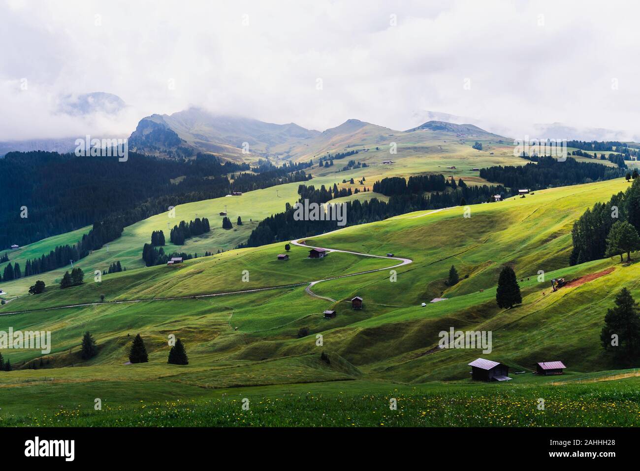 Alcune foto della bella Alpe di Siusi, Sudtirol, un luogo famoso per le vacanze, con i suoi prati, picchi di fiori e chalets di attualità. Foto Stock