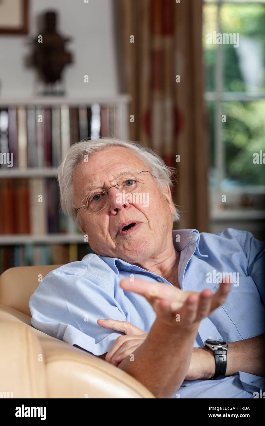 Sir David Attenborough, inglese emittente e naturalista, nella sua casa di Richmond, Borough di Richmond upon Thames, England Regno Unito Foto Stock