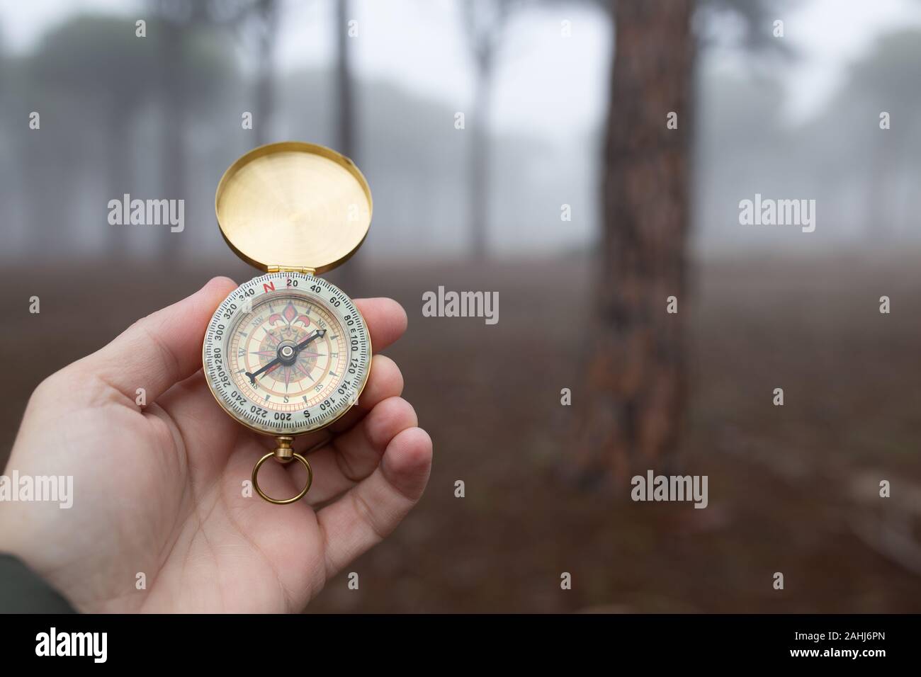 Una persona disorientata dalla nebbia cerca di trovare la strada giusta con  una bussola Foto stock - Alamy