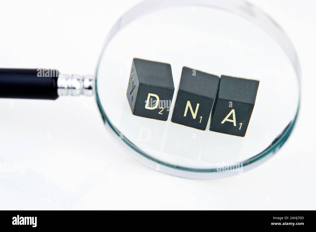 Lupe, Symbolbild, DNA, DNA unter der Lupe betrachtet, Foto Stock