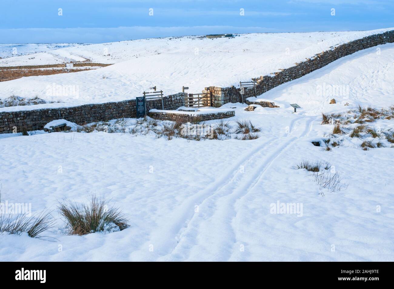 Northumberland in inverno. Coperta di neve Knag Burn Gateway sul vallo di Adriano. Foto Stock