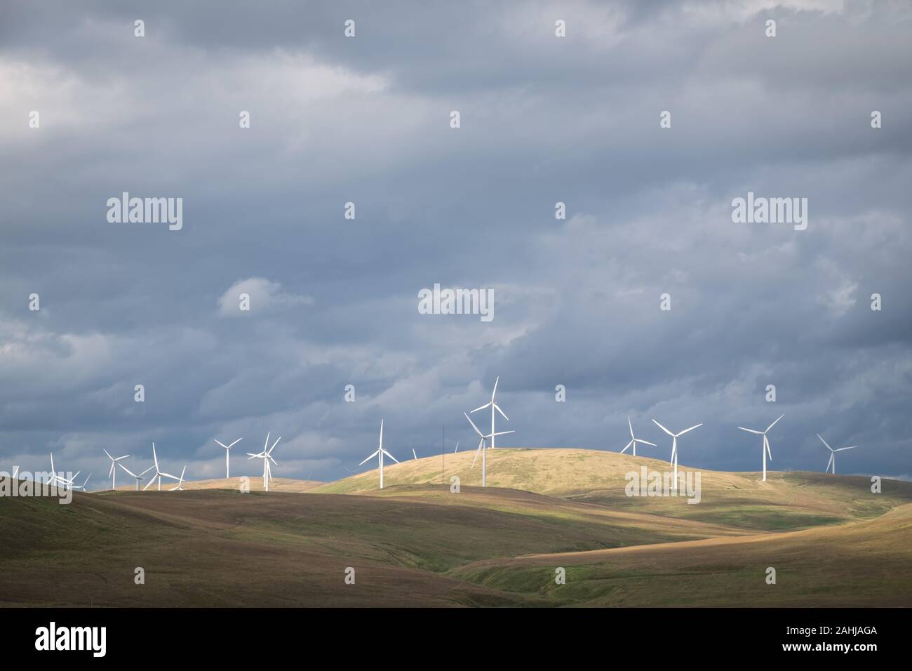 Parco eolico nelle pianure scozzesi del sud Foto Stock