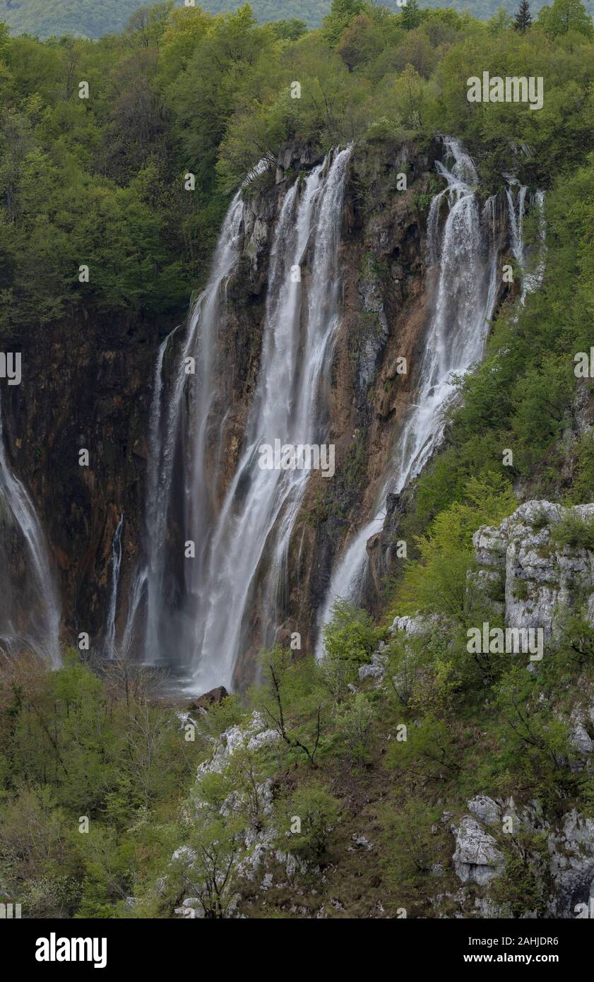 La grande cascata, o di Veliki slap, nel Parco Nazionale dei Laghi di Plitvice, Croazia Foto Stock