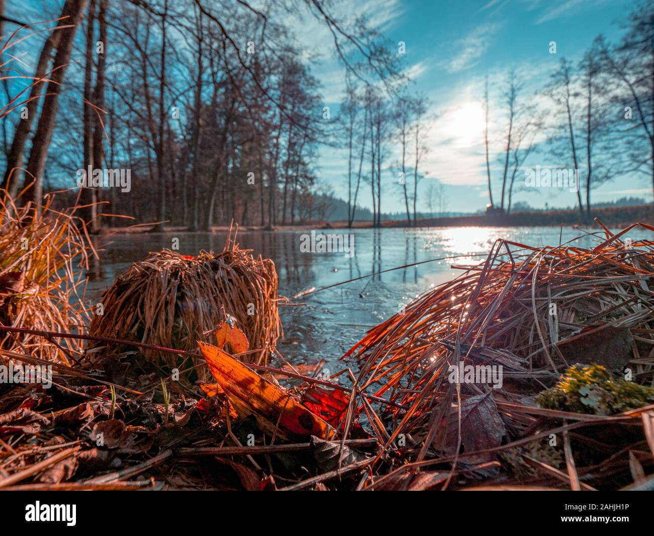 Domenica a piedi aorund un piccolo lago con un piccolo legno erlenmoos, Rot an der Rot Foto Stock