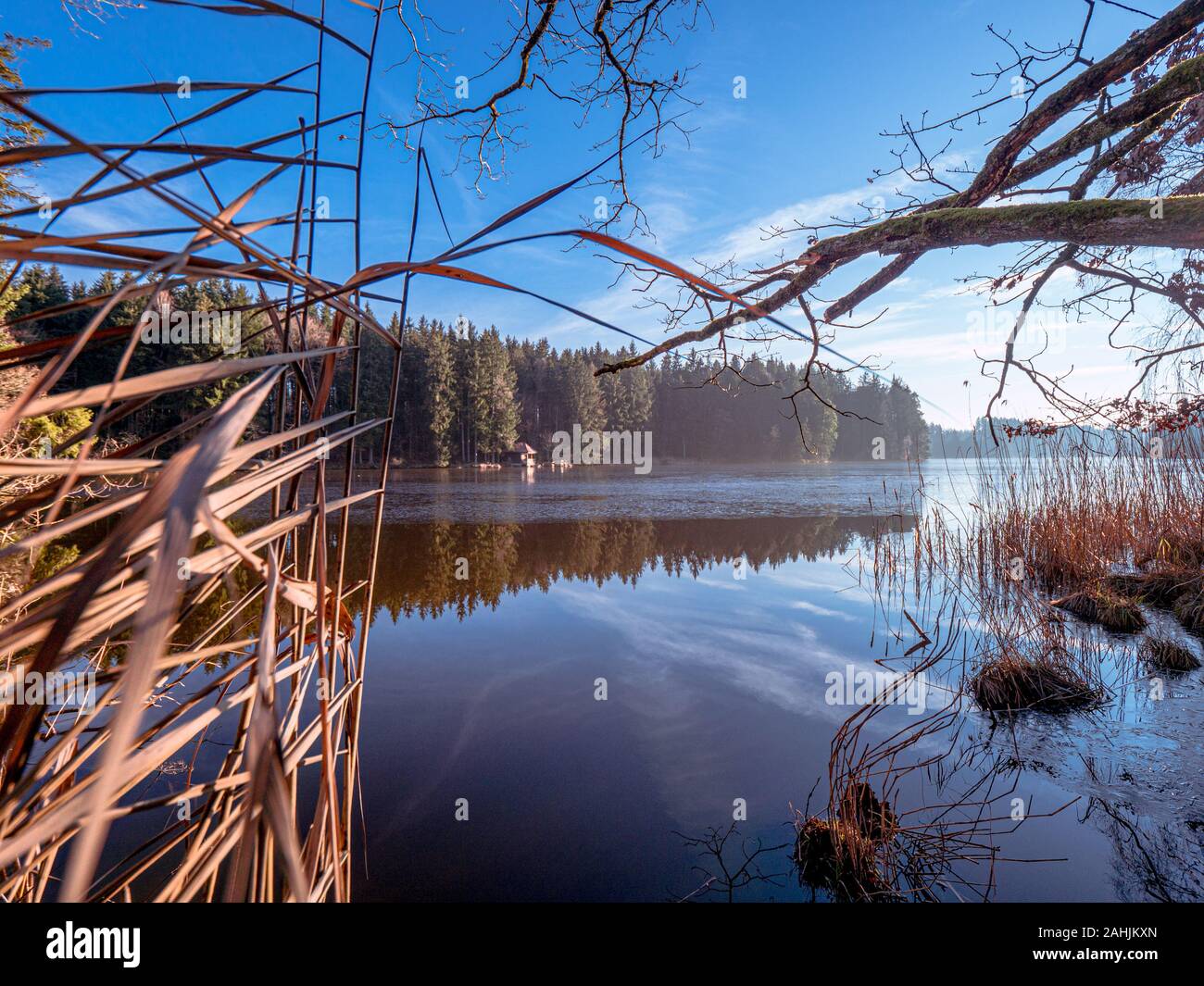 Sundaywalk intorno al Roter Weiher, Erlenmoos Rot an der Rot Germania Foto Stock