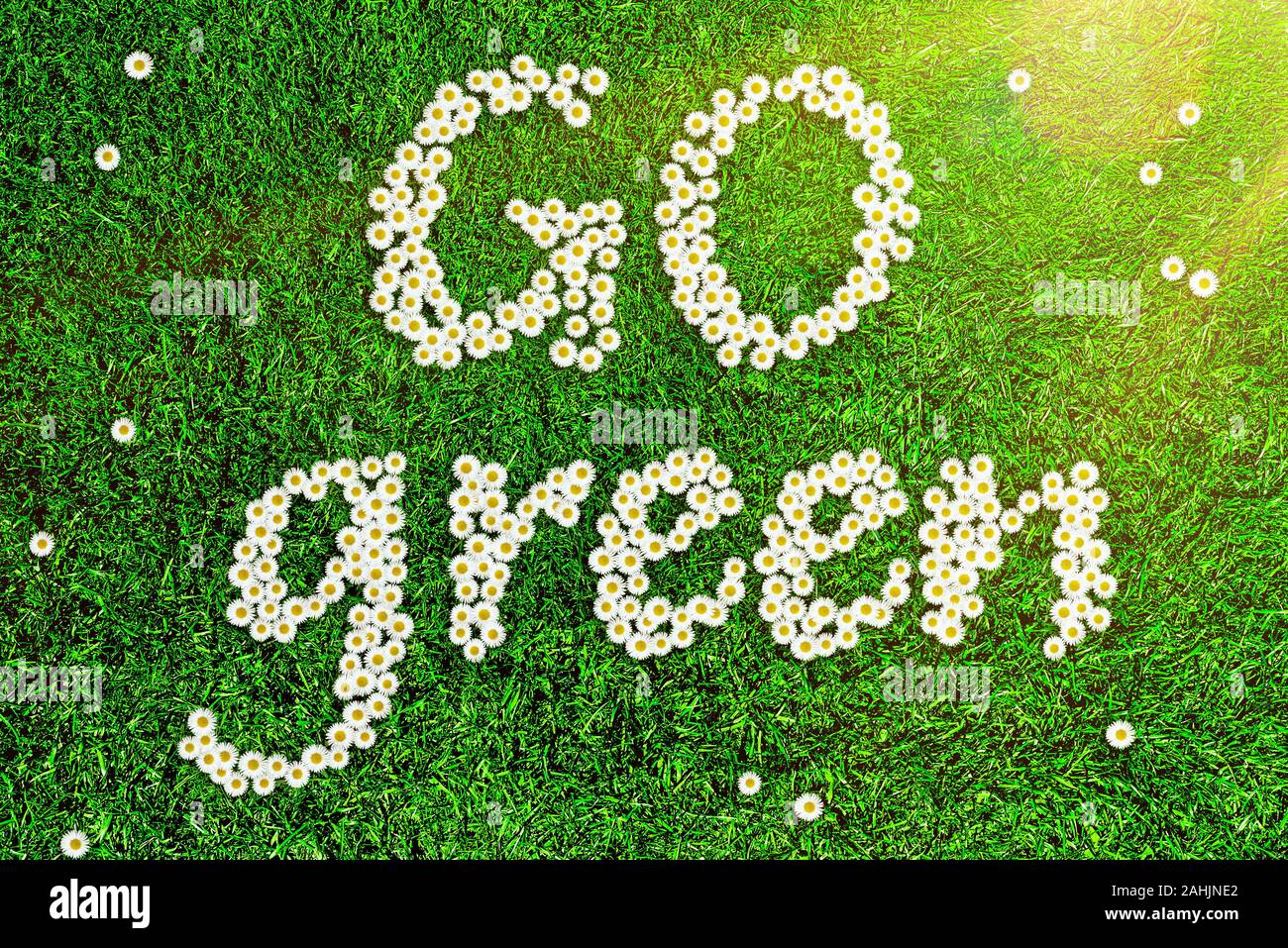 Vista dall'alto di fiori formanti parole andare verde su verde erba, concetto di ecologia Foto Stock