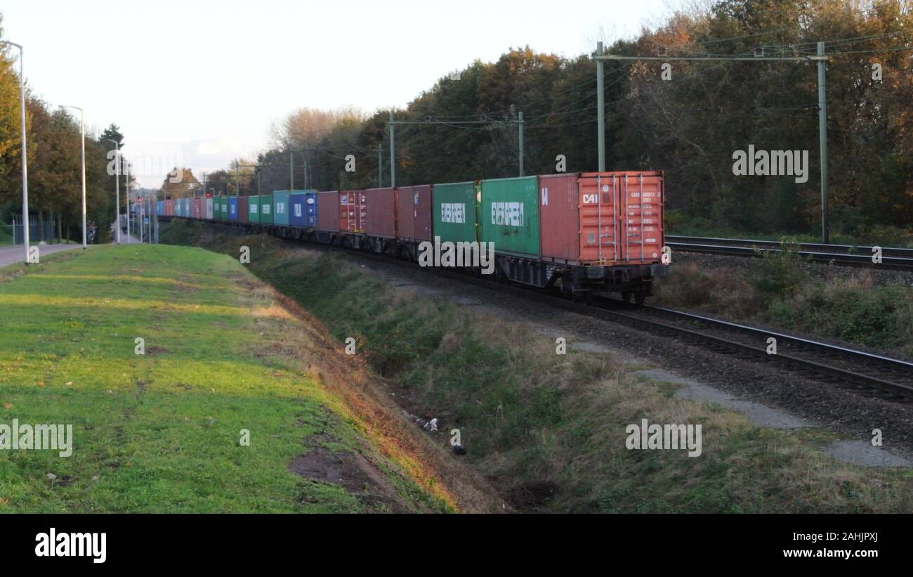 Diesel Tractie derivatore 502 con Blerick contenitore ISO vagone treno, Blerick, Venlo, Paesi Bassi Foto Stock