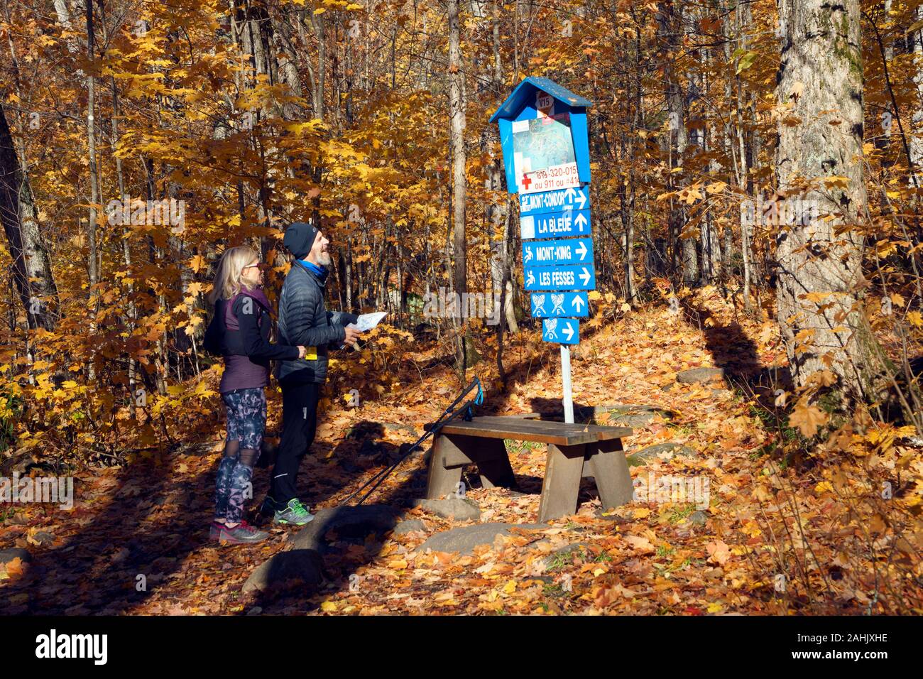 Due escursionisti la consultazione di una mappa del percorso presso il Parc Régional de Val David, provincia del Québec in Canada. Foto Stock