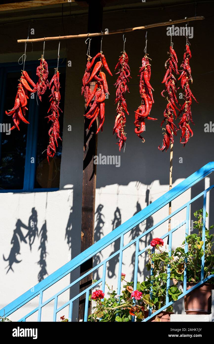 Chili Peppers essiccamento al di fuori di una casa nel piccolo villaggio di Agios Ghermanos vicino al lago Prespa nel comune di Prespes, Macedonia, Grecia settentrionale Foto Stock