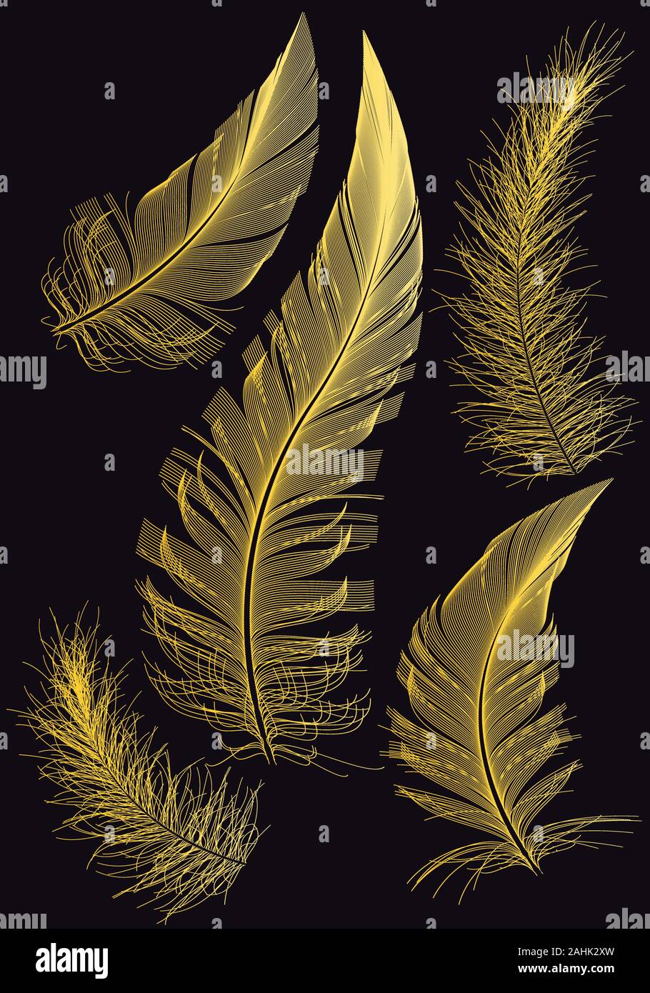 Piume d'oro su sfondo nero, illustrazione vettoriale Illustrazione Vettoriale