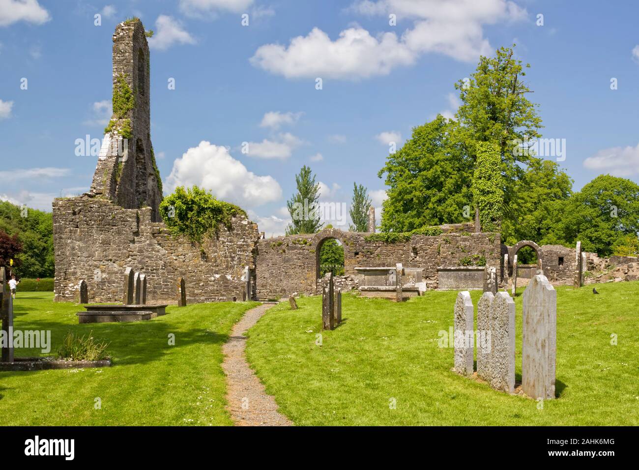 I resti di una chiesa medievale nella città di Templemore nella Contea di Tipperary, Irlanda. Foto Stock