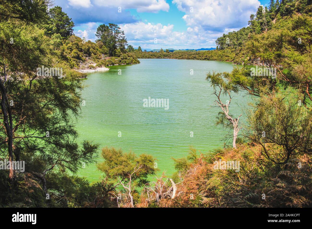 Lago di eco al Wai-O-Tapu Thermal Wonderland vicino a Rotorua, Isola del nord, Nuova Zelanda Foto Stock