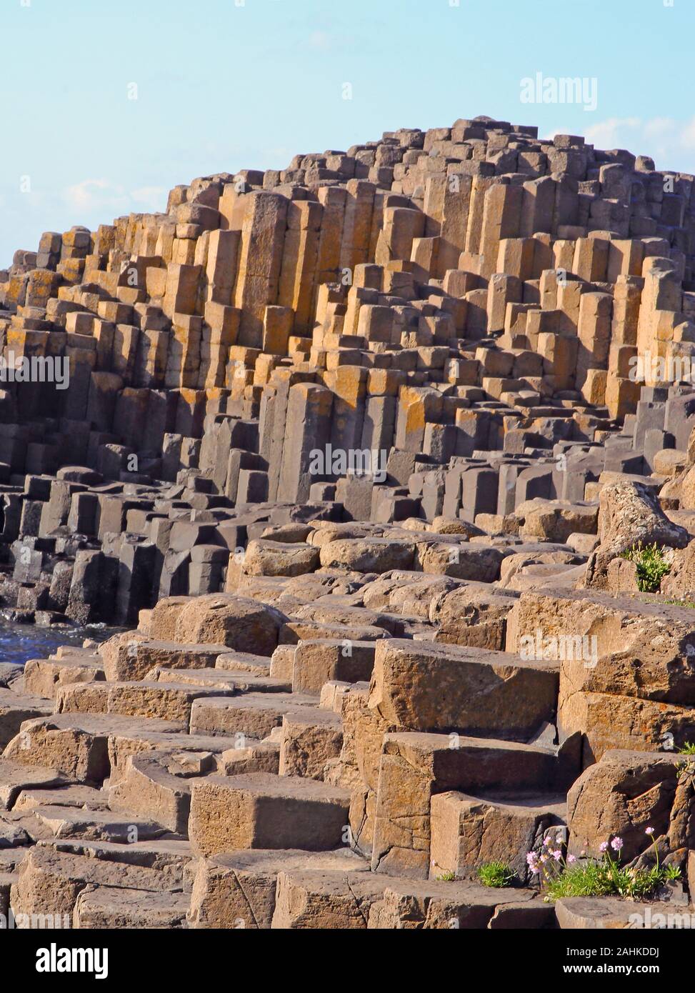 Massicce colonne di basalto del Giant's Causeway, County Antrim, Irlanda del Nord, Regno Unito. Foto Stock