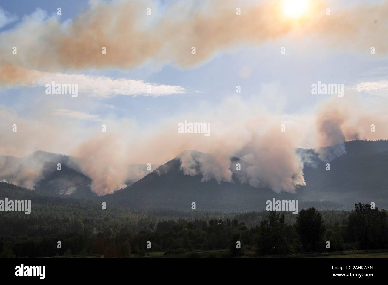 Il fumo proveniente da incendi boschivi billowing in cielo Foto Stock