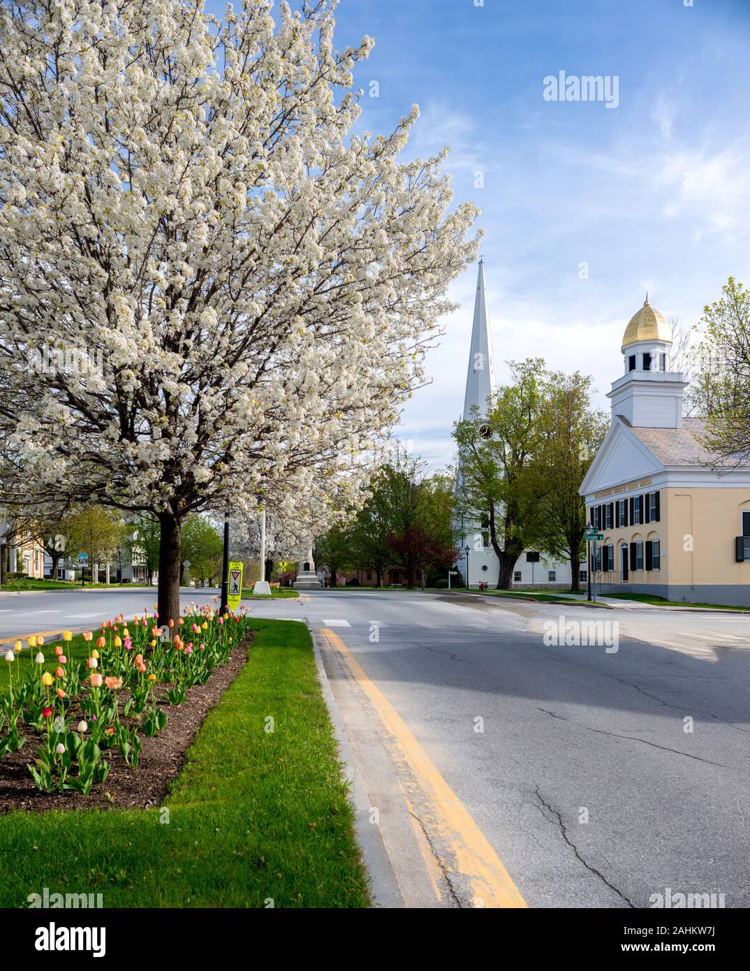 Vista del centro storico del Manchester Village nel Vermont durante la primavera con tulipani e alberi in fiore. Foto Stock