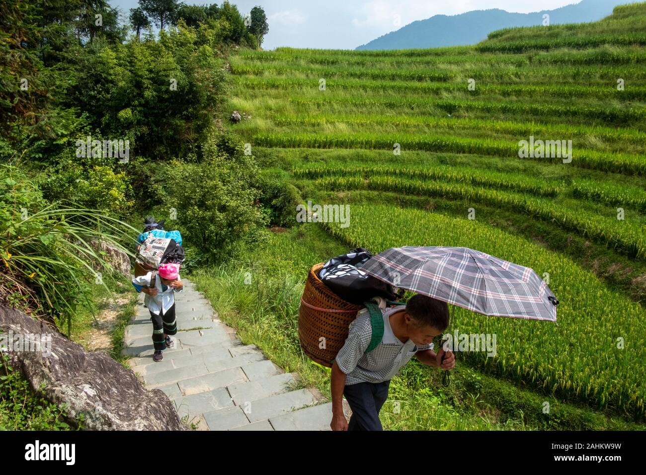 Gli abitanti di un villaggio di trasportare i turisti sacchetti attraverso il Longji terrazze di riso in Guangxi, Guangxi, Cina Foto Stock