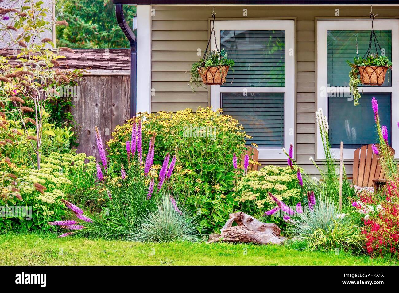 Street View di fiori che sbocciano in un grazioso e colorato giardino estivo di fronte a una casa suburbana vicino a Vancouver, Canada. Foto Stock