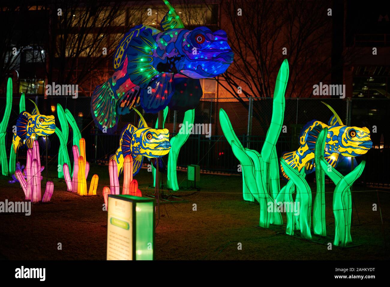 Atlanta Lanterna cinese Festival 2019 Foto Stock