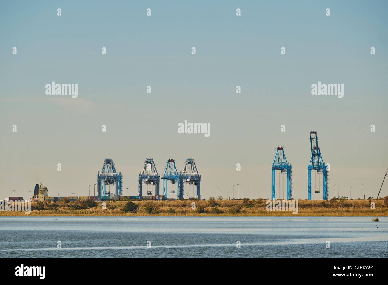 Cantiere banchine per le navi portacontainer di grandi gru per il carico e lo scarico di una nave portacontainer nel porto di Mobile in Alabama, Stati Uniti d'America. Foto Stock