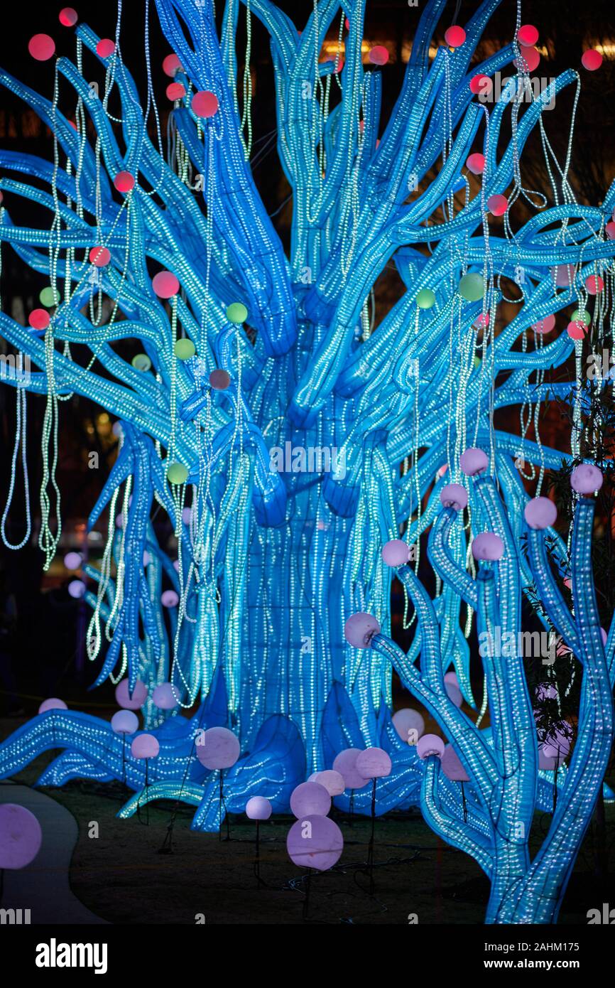 Atlanta Lanterna cinese Festival 2019 Foto Stock