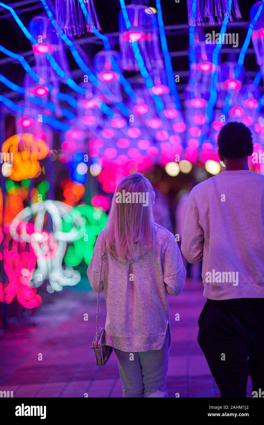 Atlanta Lanterna cinese Festival 2019 Foto Stock