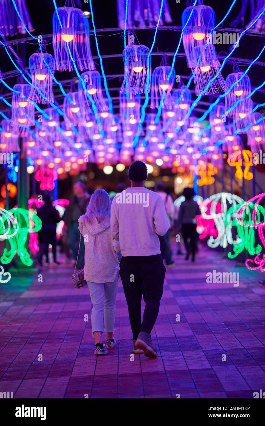 Atlanta Lanterna cinese Festival 2019 Foto Stock