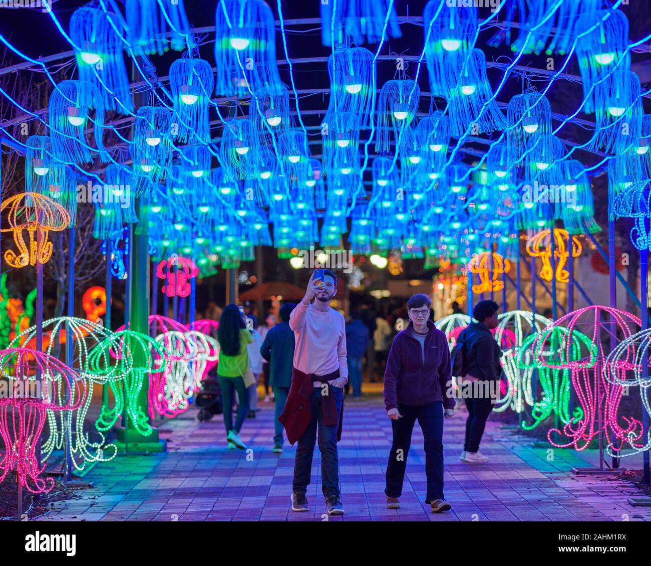 Atlanta Lanterna cinese Festival 2019 Foto Stock