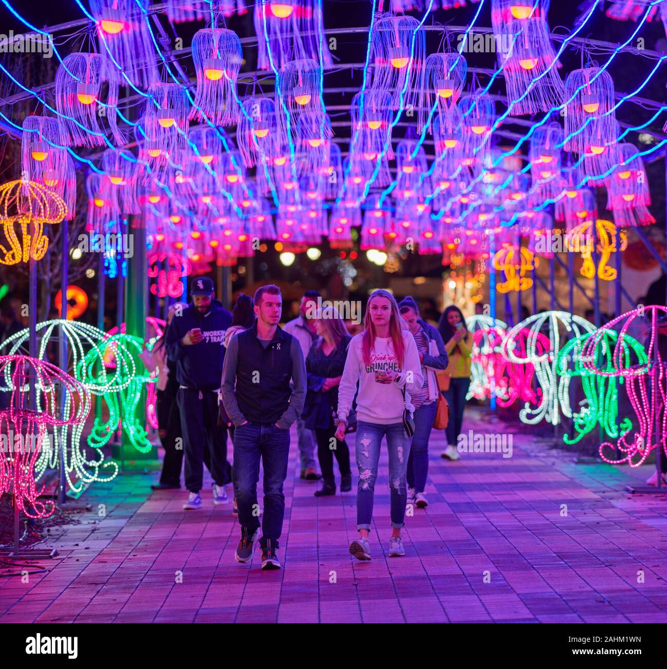 Atlanta Lanterna cinese Festival 2019 Foto Stock