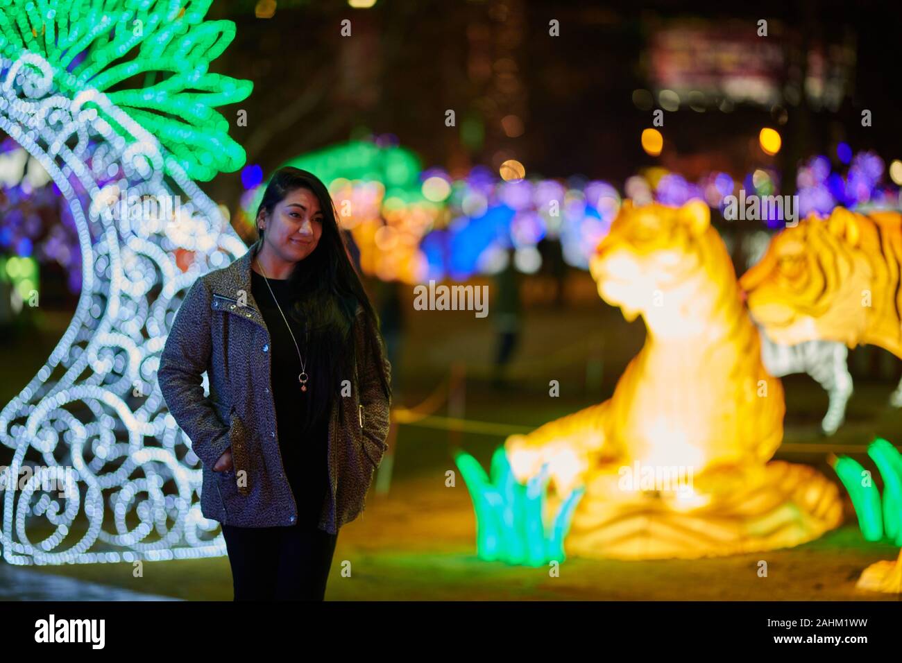 Atlanta Lanterna cinese Festival 2019 Foto Stock