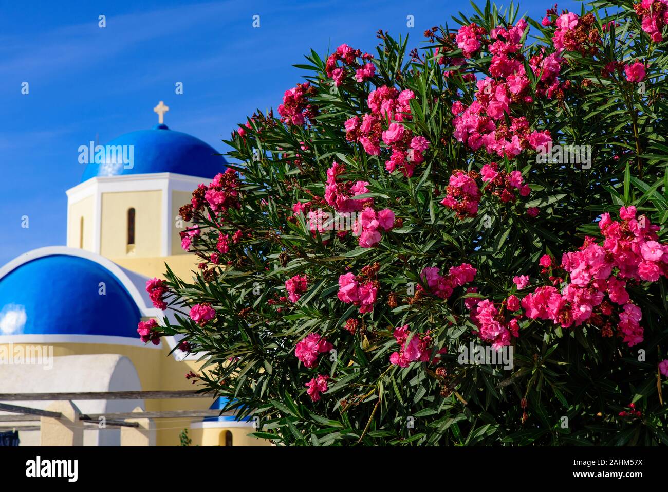 Giallo chiesa con cupola blu di Oia - Santorini, Grecia Foto Stock