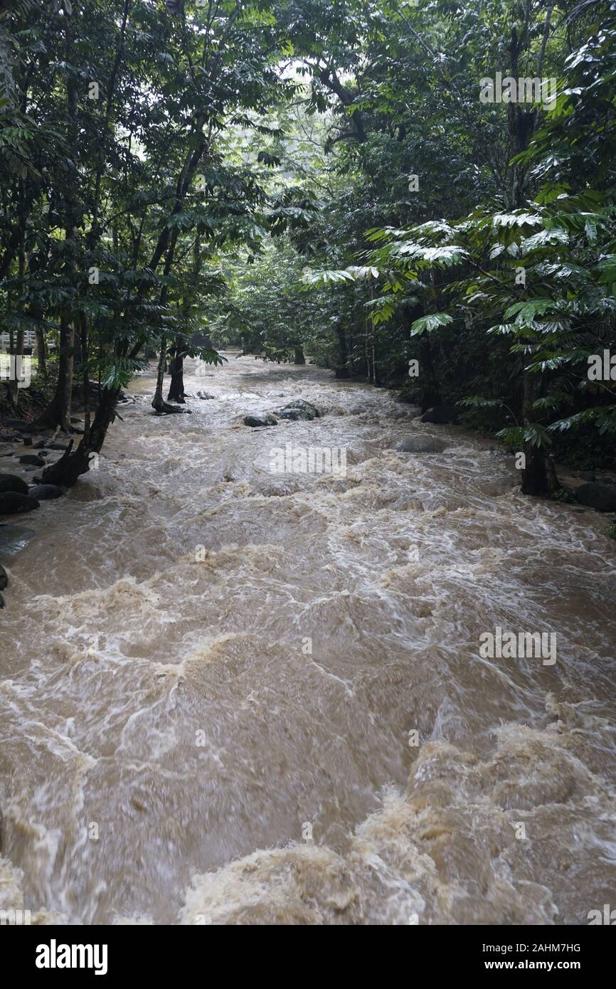 Ruscello di acqua in Malesia Foto Stock