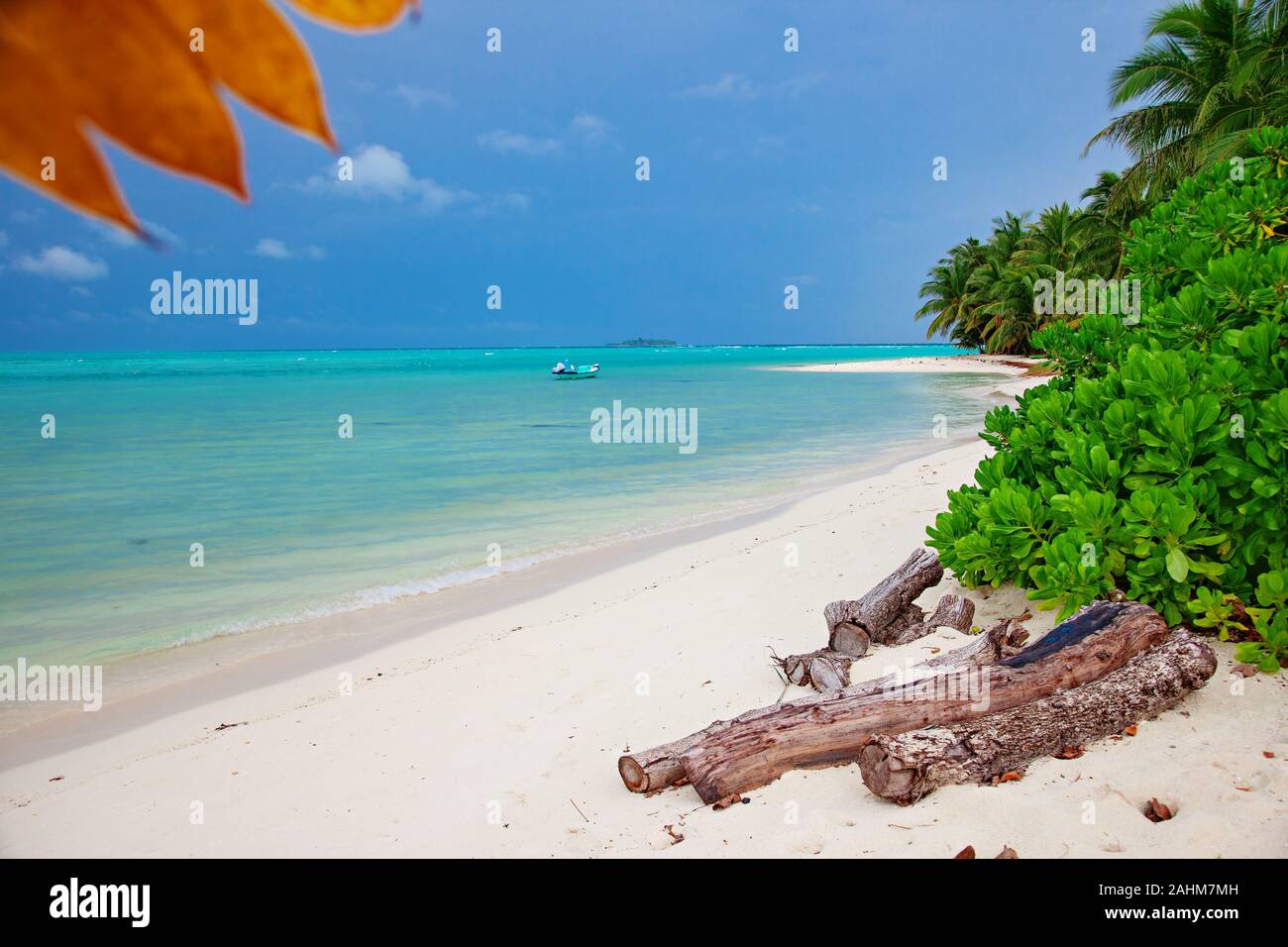 Green Foliage, acqua e vista sulla spiaggia sulla costa di Maldive Foto Stock
