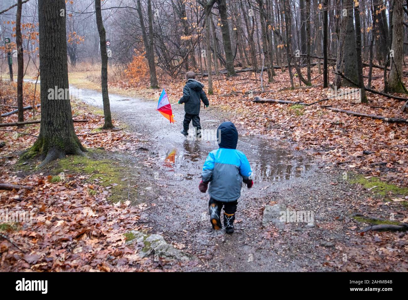 Due calorosamente vestita di Fratelli, giovani ragazzi di età compresa tra 2 e 5, sono correndo giù per un sentiero attraverso la foresta. Nel tardo autunno, foglie di autunno sono sul g Foto Stock