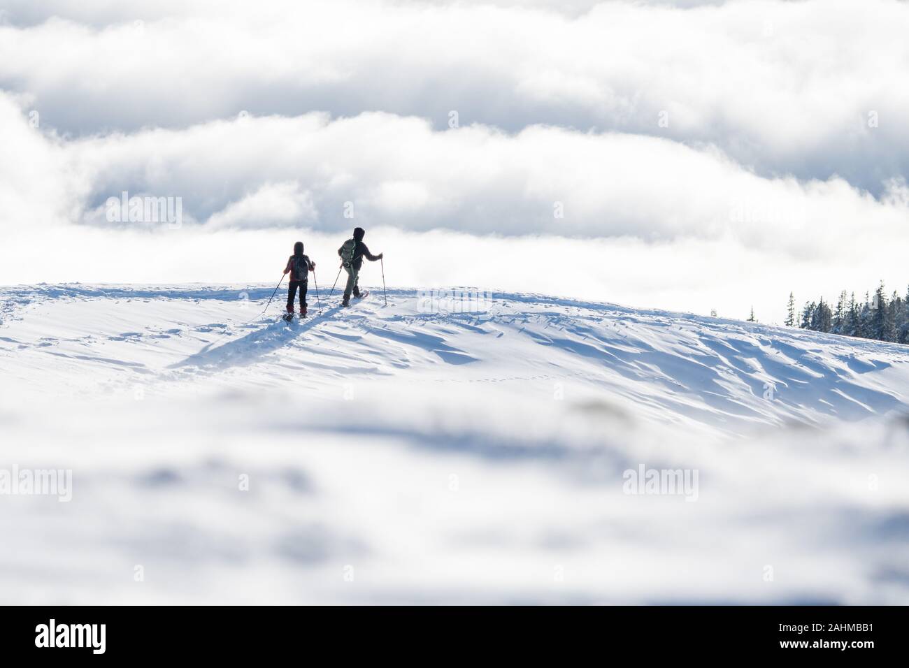 Coppia di escursionisti con racchette da neve davanti a un mare di nebbia Foto Stock