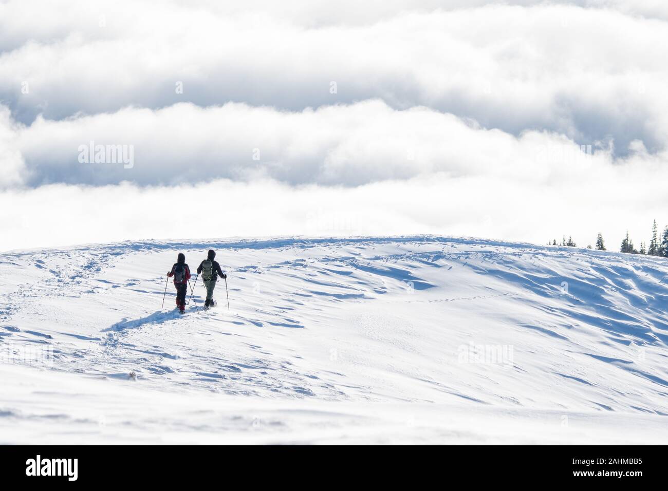 Coppia di escursionisti con racchette da neve davanti a un mare di nebbia Foto Stock