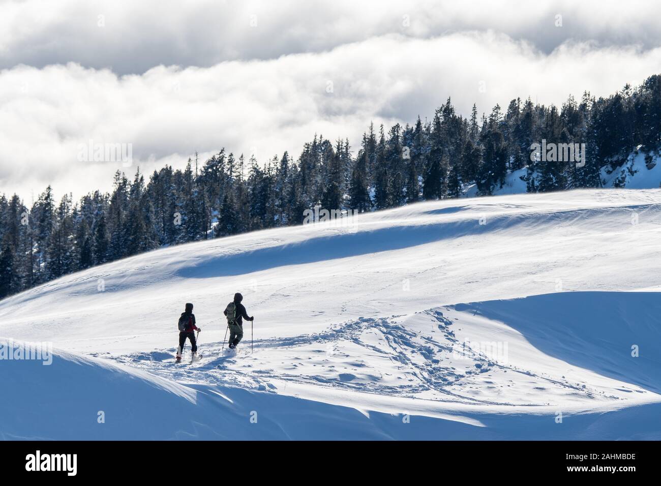 Coppia di escursionisti con racchette da neve davanti a un mare di nebbia Foto Stock