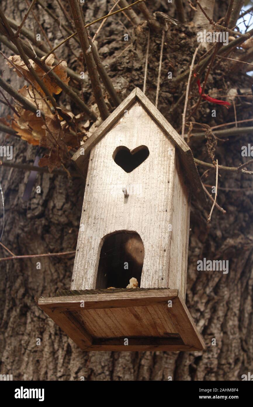 Close up di un legno Bird's Nest, con un cuore finestra sagomata nella parte superiore e una porta sul fondo, appeso ad una quercia. Foto Stock