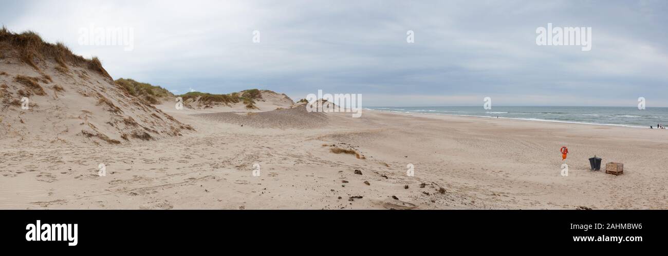 Holmsland Dunes accanto a Hvide Sande in Danimarca ha 40 km di spiagge sabbiose. Holmsland Dunes è l'epitome di spiagge, dune, sole, vento e soprattutto di CLE Foto Stock