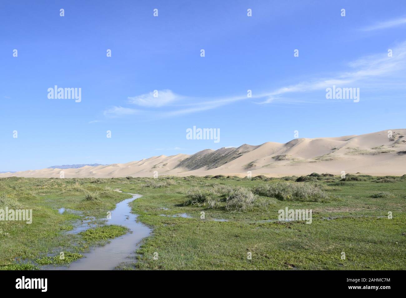 Deserto dei Gobi MONGOLIA PAESAGGIO FLUVIALE Foto Stock