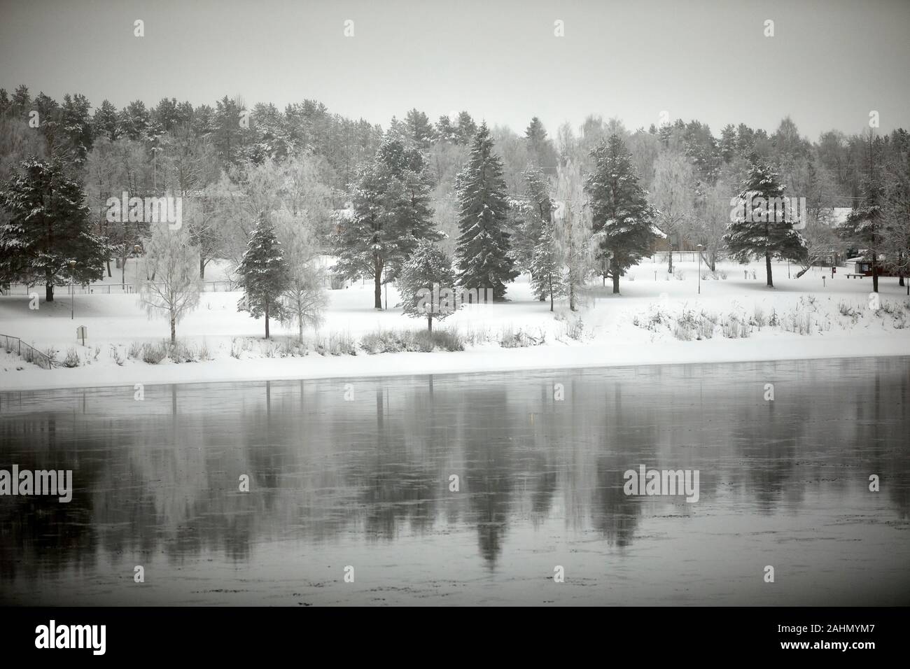 Il finlandese Rovaniemi una città in Finlandia e la regione della Lapponia, alberi sulle rive del fiume Kemijoki Foto Stock