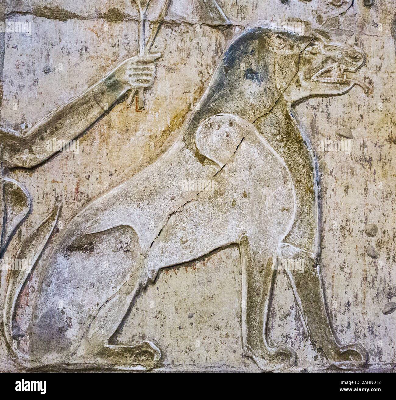 Patrimonio Mondiale dell'UNESCO, Tebe in Egitto, tempio tolemaico di Deir el Medineh. Ammit, 'Il divoratore' o 'soul-eater " è un composito animale. Foto Stock