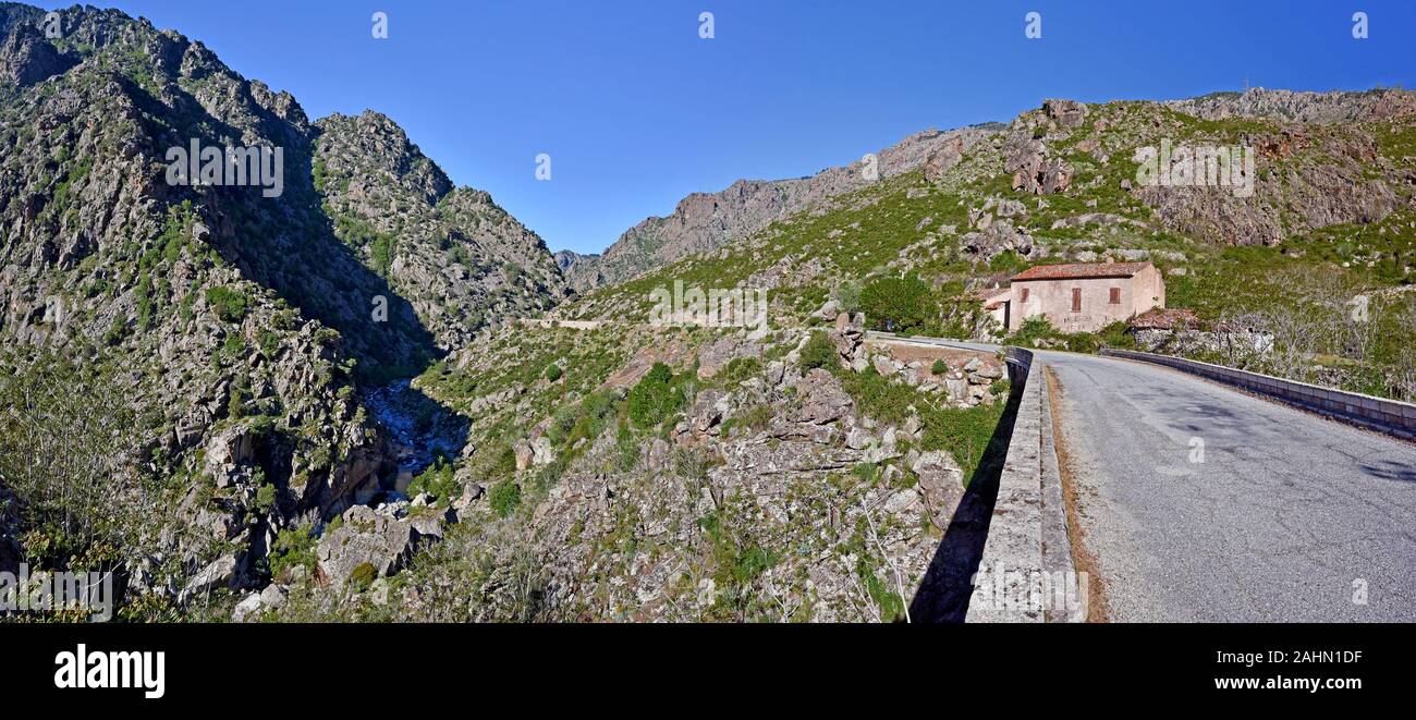 Spettacolare D84 la strada attraverso il burrone, noto come Scala di Santa Regina con il fiume Golo corso è l unico modo per accedere a Niolu regione nel centro del cor Foto Stock