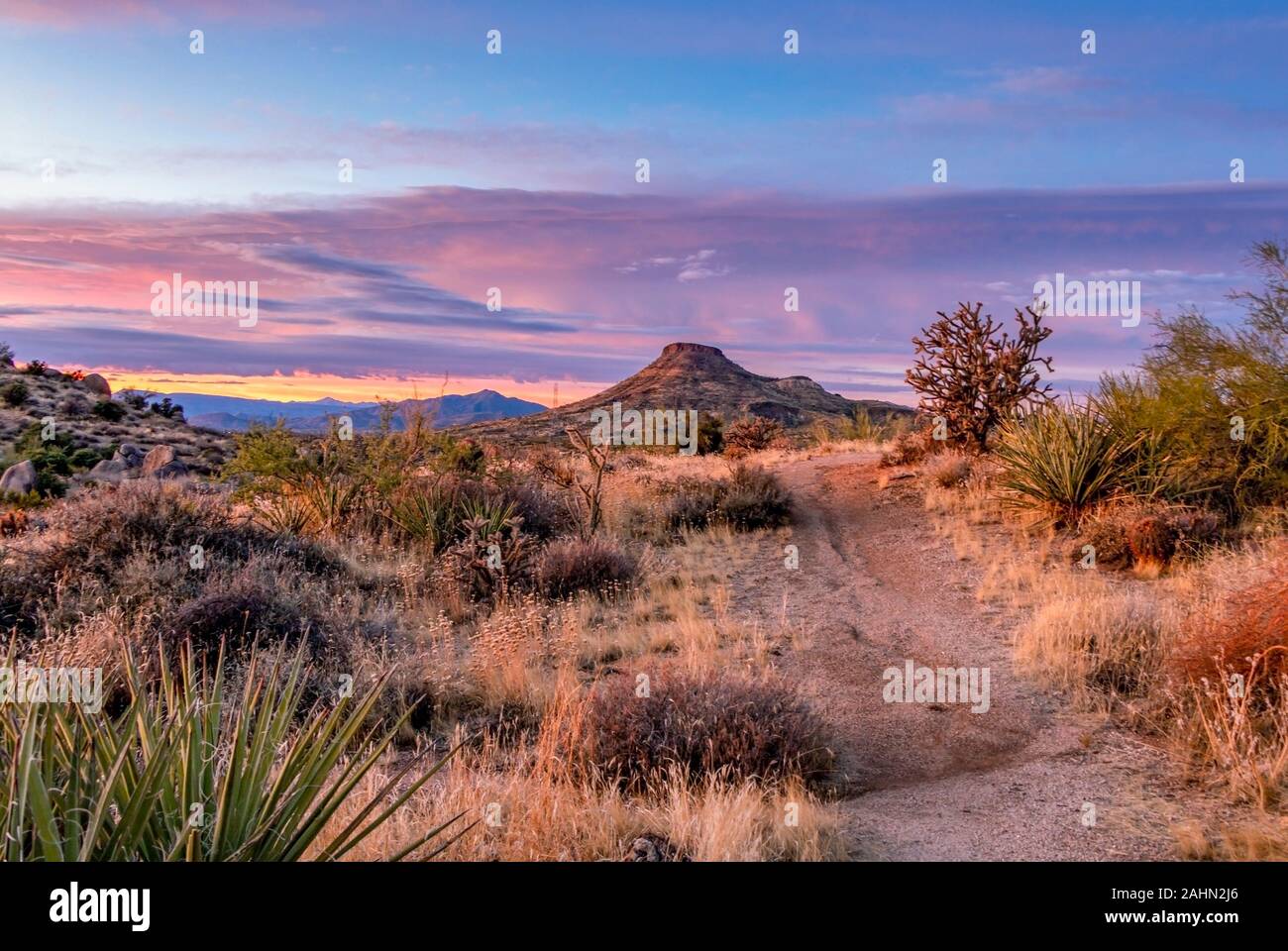 Deserto sentiero escursionistico al tramonto con formazione di Butte in background Foto Stock