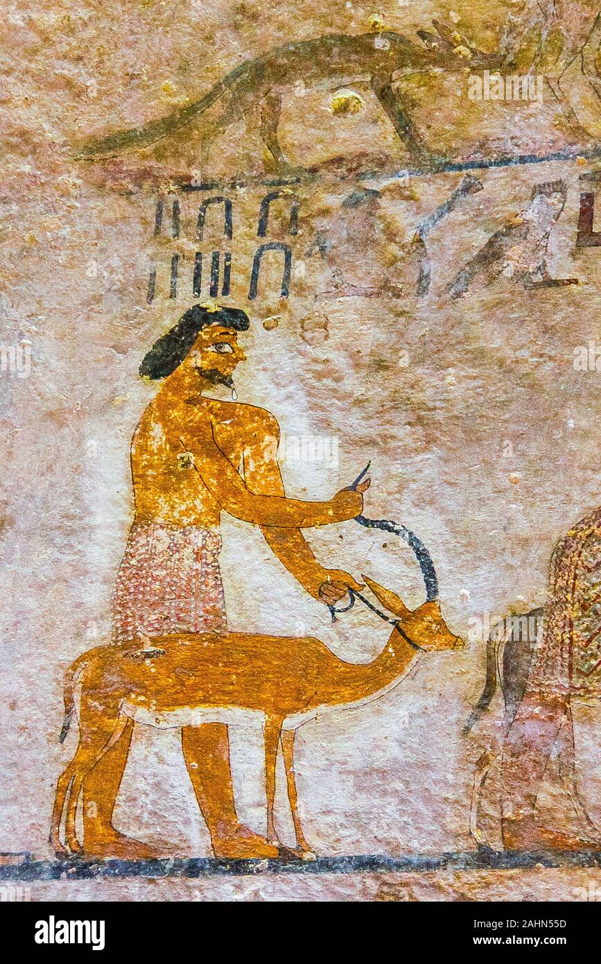 Medio Egitto, Beni Hasan, la tomba di Khnumhotep II date dal Regno di Mezzo e contiene la famosa scena chiamato 'arrivo degli Hyksos'. Foto Stock