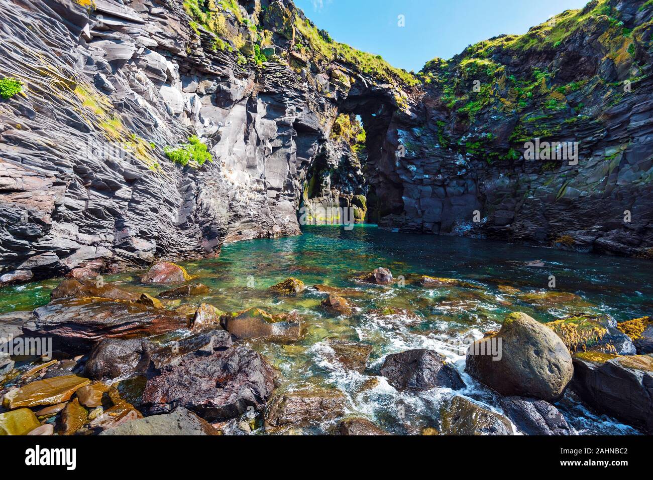 Vista ravvicinata di basalto formazione di Valasnos scogliera sulla sponda meridionale della penisola di Snaefellsnes in Islanda Occidentale. Foto Stock