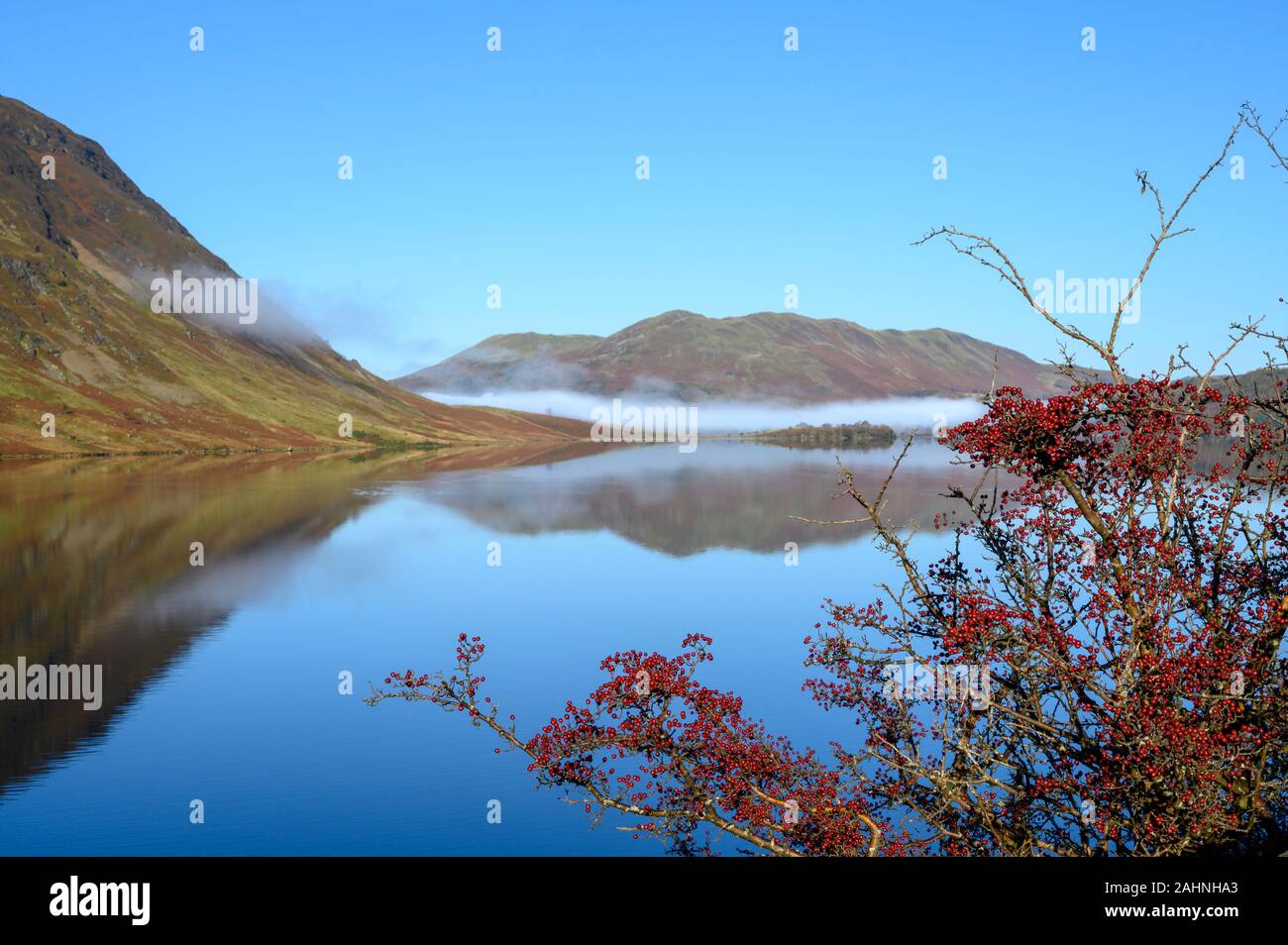 Vista su tutta Crummock acqua nel distretto del lago guardando verso il basso è sceso. Un banco di nebbia si trova in corrispondenza della parte superiore del lago. Un albero con vivaci bacche rosse è Foto Stock