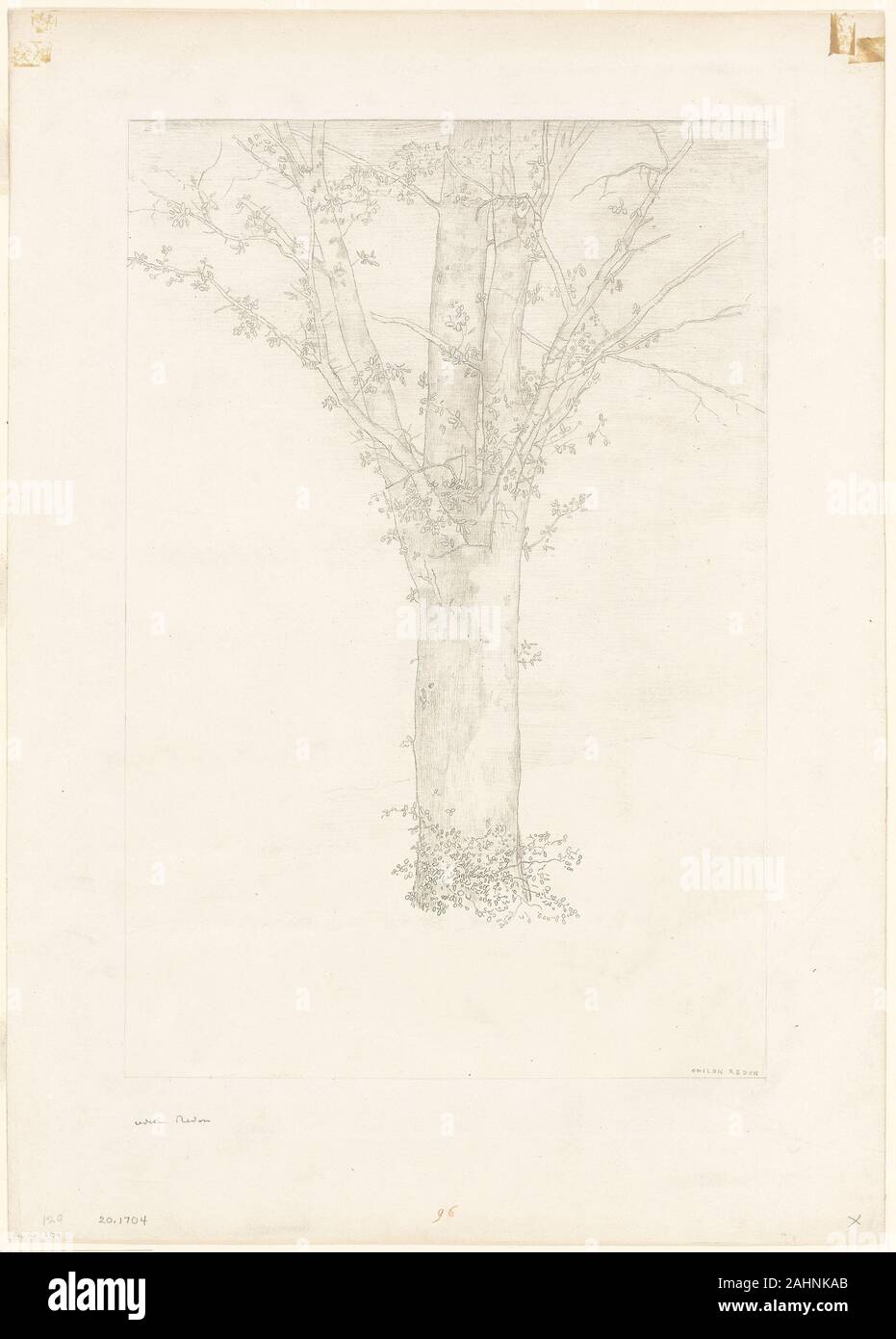 Odilon Redon. Struttura ad albero. 1892. La Francia. Litografia sul crema carta Cina, stabilite con chine collé su avorio carta intessuta Foto Stock