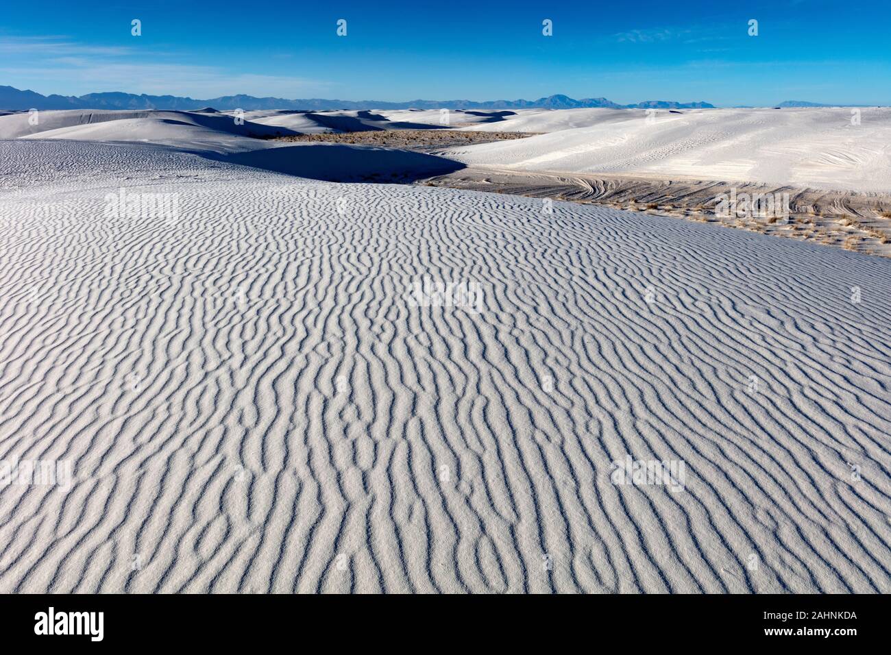 White Sands National Park Foto Stock